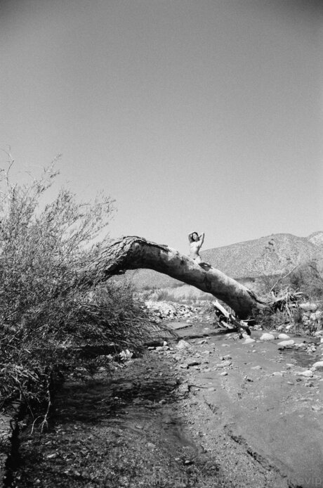 Tinyprudencevip sexy actress pic