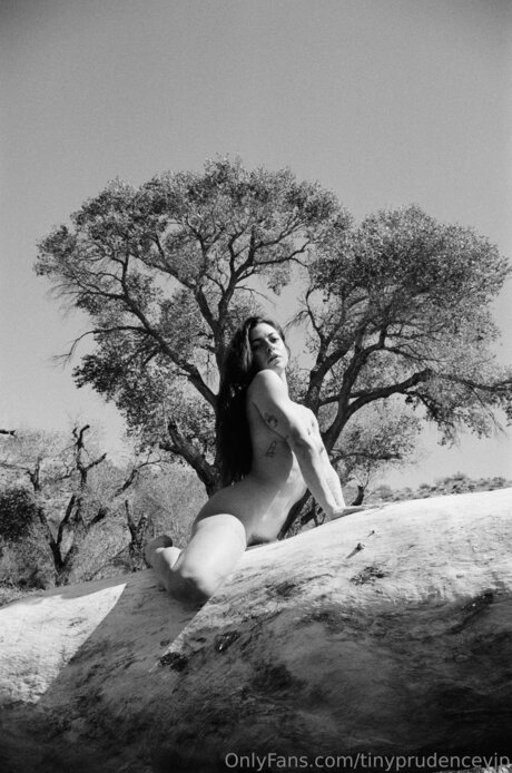 Tinyprudencevip Profile photo