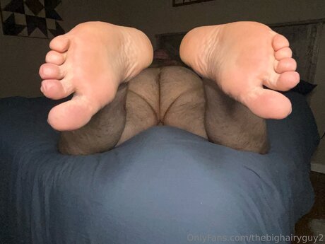 Thebighairyguy2 hd model img