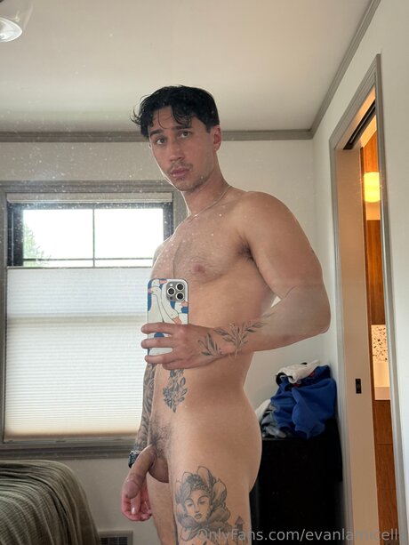 Evanlamicella star art pics