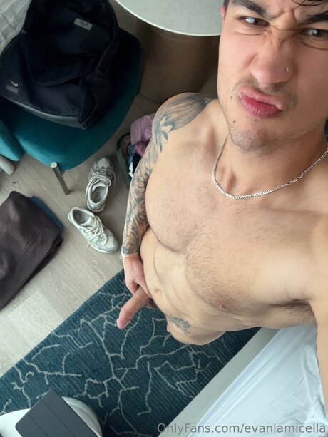 Evanlamicella best star gallery