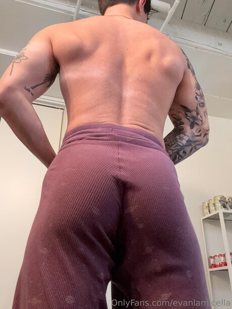 Evanlamicella free actress pic