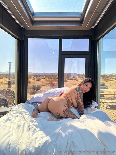 Connperignon hot star image