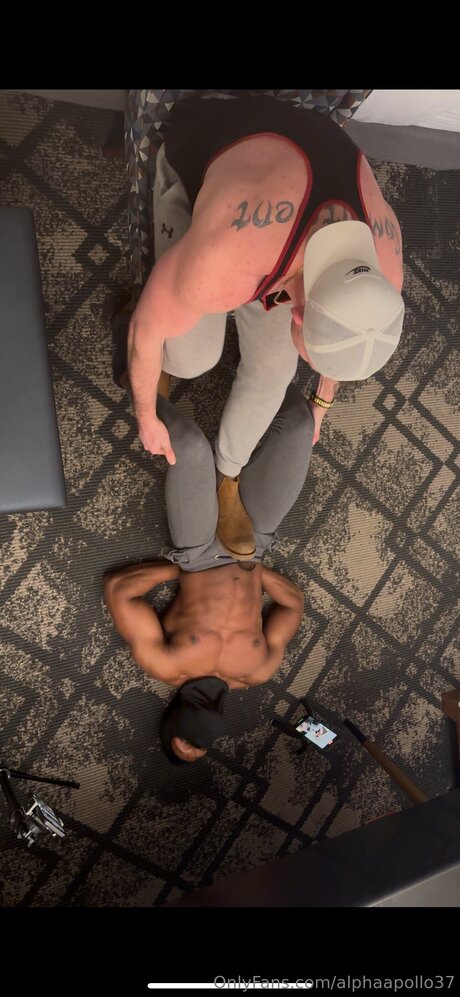 Alphaapollo37 star perfect archive