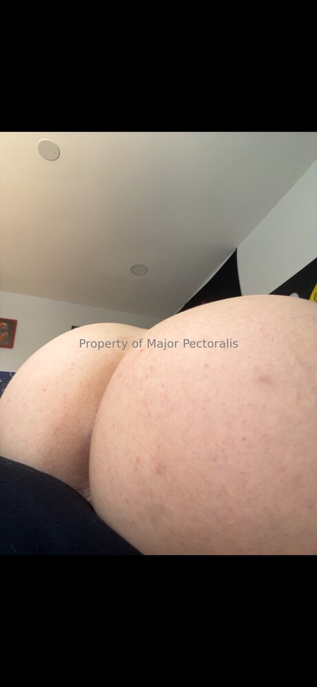Majorpectoralis best pornstar archive