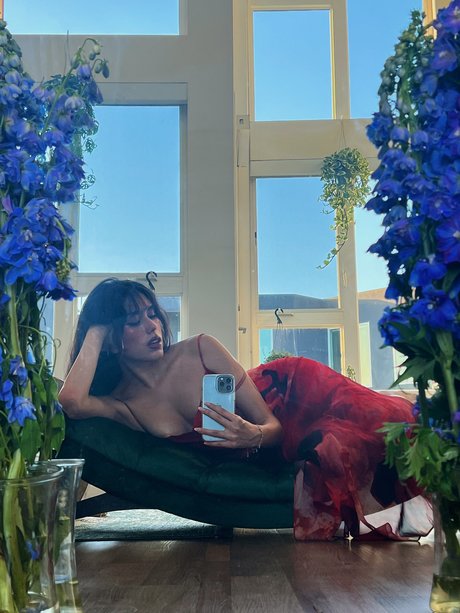 _Valeria Vixen best star image