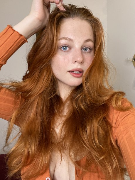 Sonia Red Fox_ star art gallery