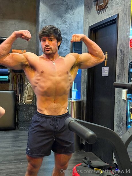 Wyattgonewild perfect pornstar img