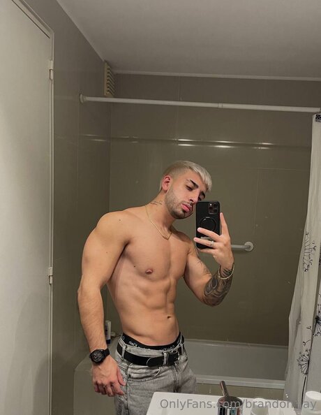 Brandon Jay sex pornstar image