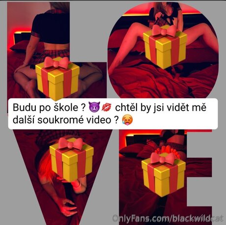 Blackwildcat beautiful model pics