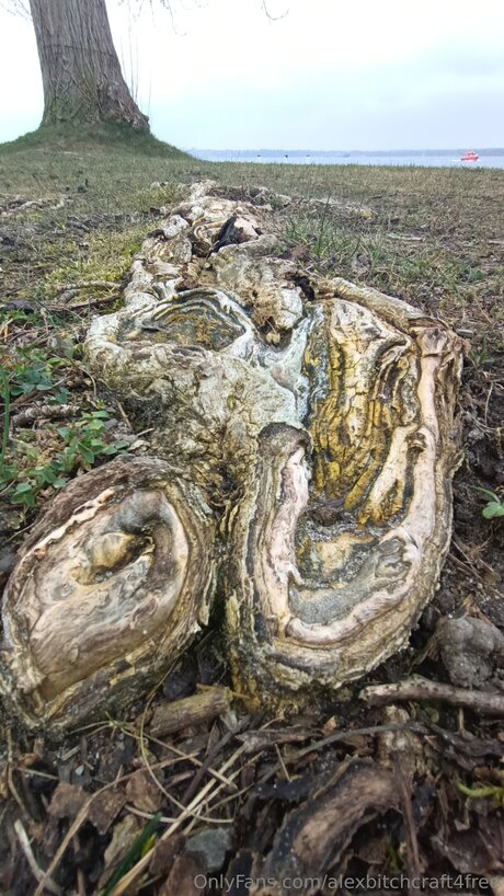 Alexbitchcraft4free perfect star gallery