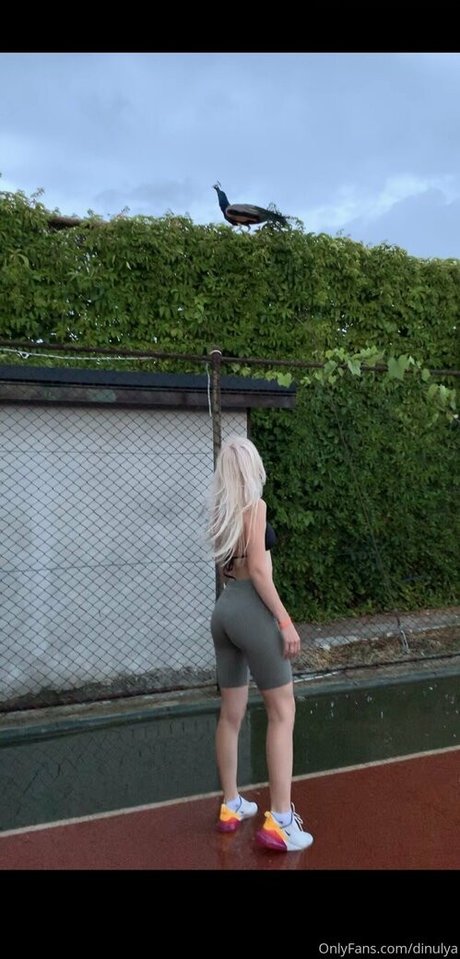 Dinulya porn star images