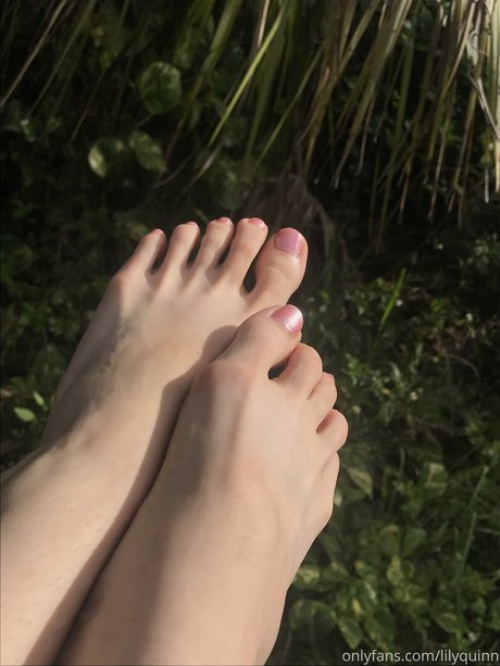 Lily Quinn pretty pornstar archive