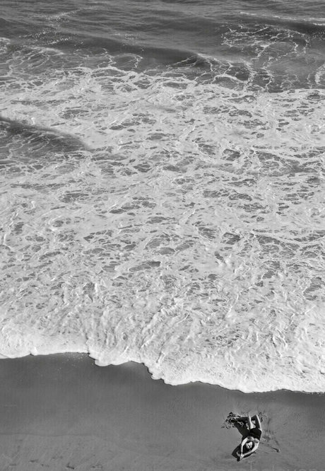 Thesavannaheleven model art images