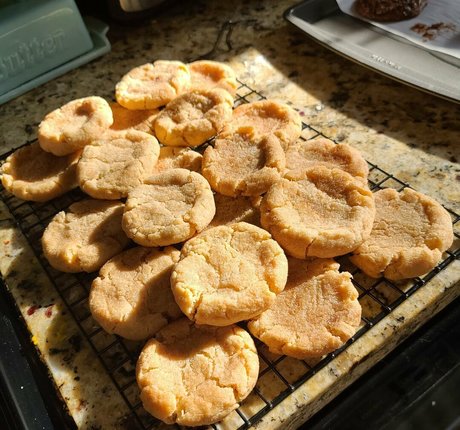 bunny princess onlyfans top image