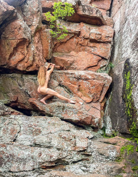 popular trans onlyfans free sexy picture