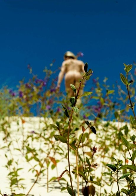 Aline Hirth xxx actress image