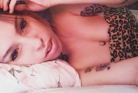 euforia star high quality archive