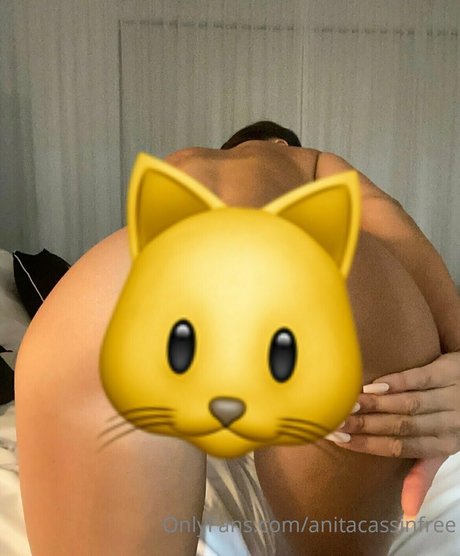 anitacassinfree exclusive model photos