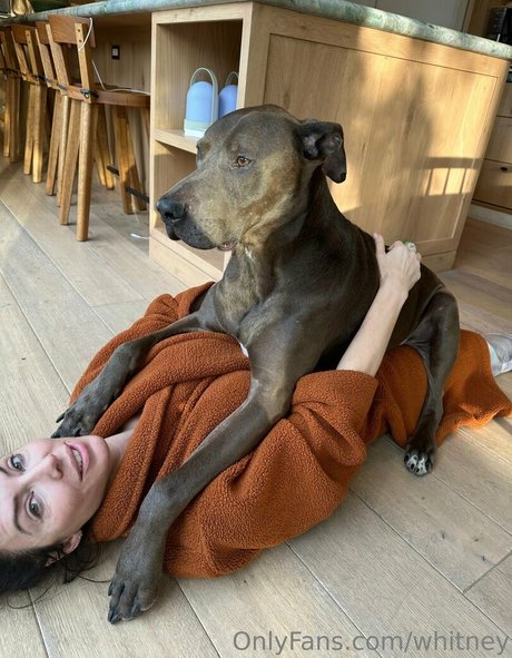 teen tits onlyfans sexy naked image