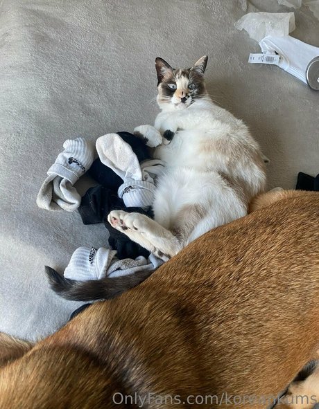 Koreankums perfect star photo