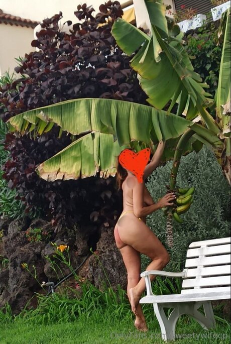 Sweetywifecp high quality star archive