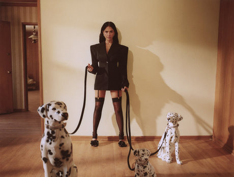 Jessica Alba xxx star gallery