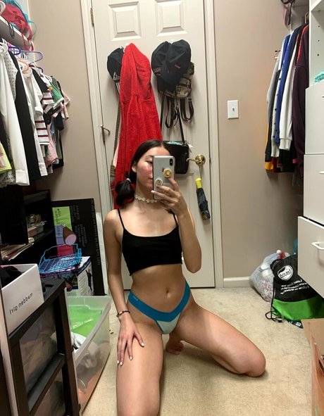 vinsinful porn star photos