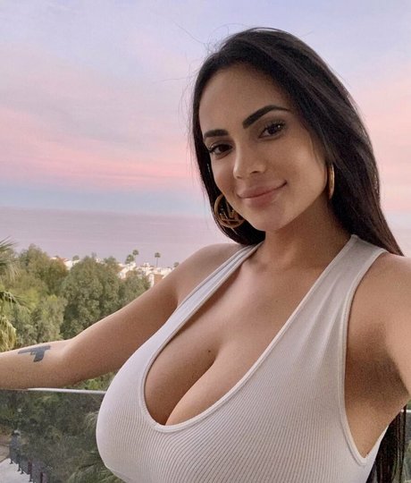 Sannatorr art star photos