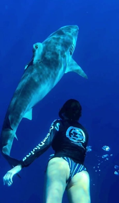 Nina Dobrev model pornographic gallery