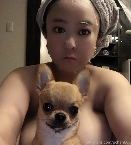 Pchan666 high quality model gallery