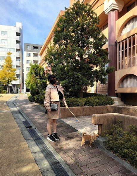 Pchan666 star high quality galleries