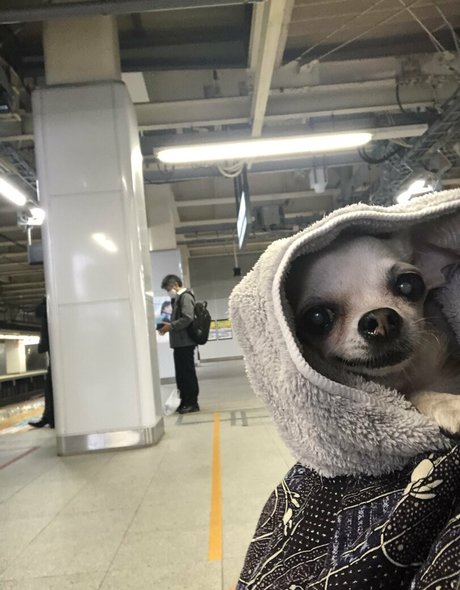 Pchan666 best actress pic