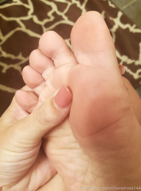 chanelrose144 pornographic star archive