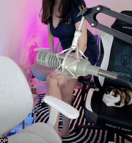 AriaSaki best model gallery