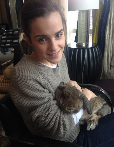 big dildo onlyfans nudes pictures