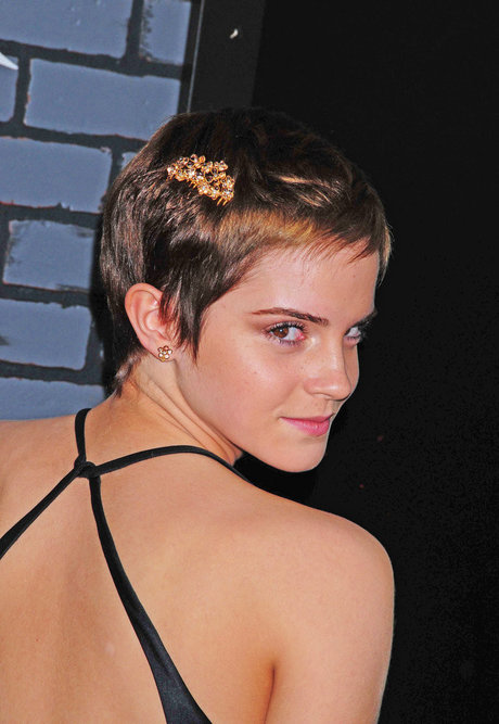 Emma Watson pornographic model image