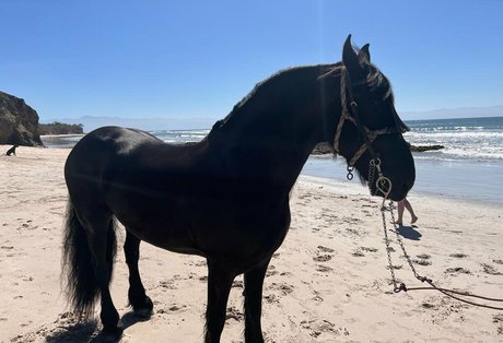 fitnessmodel onlyfans sex picture