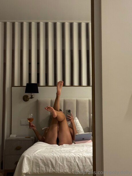 Poly Dolly model art image