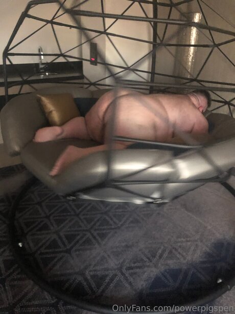 Powerpigspen star perfect image