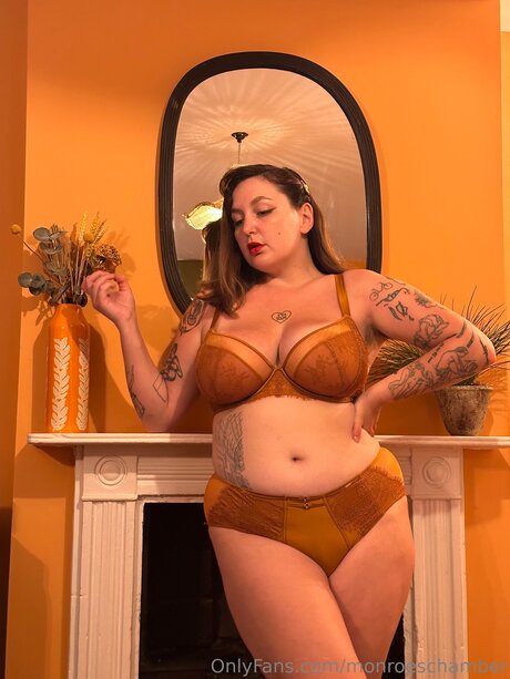 Monroeschamber art star gallery