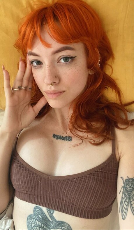 Pleasequietdown star hd gallery