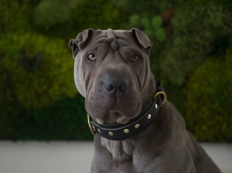 amyanderssen sex model photos