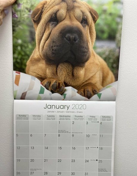 amyanderssen art model archive