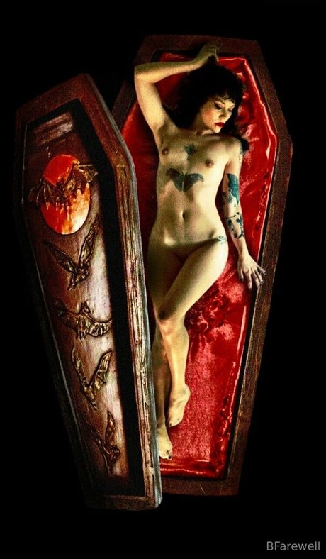 forwardfarewell beautiful star photo