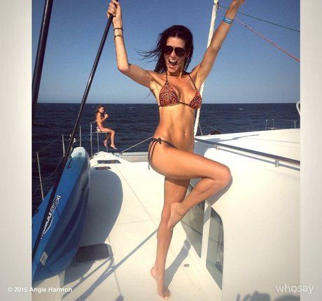 Angie Harmon high quality star pictures