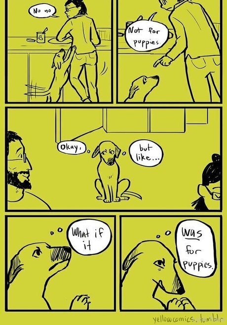 public pussy onlyfans beautiful xxx pic