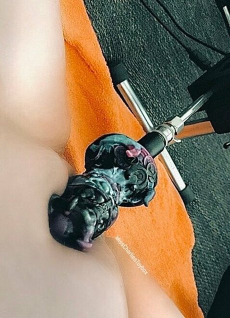 misscharliestoybox star nice galleries