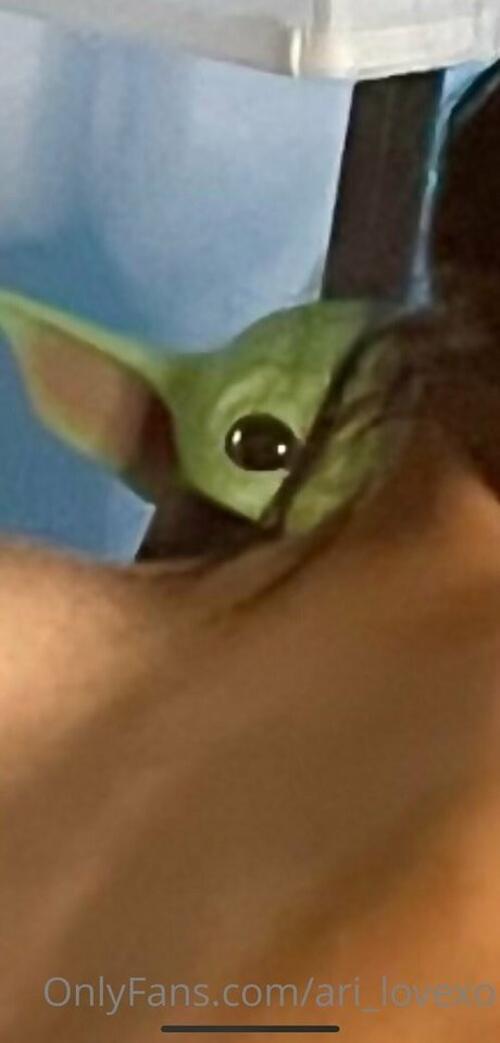 ari lovexo star pornographic pic