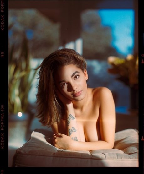 Ari Nicholle Gold nudes model img